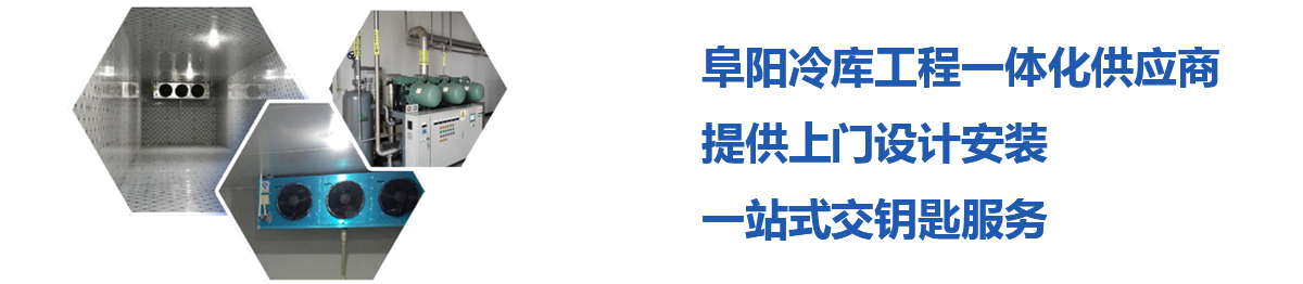 阜陽冰雪制冷設備工程有限公司